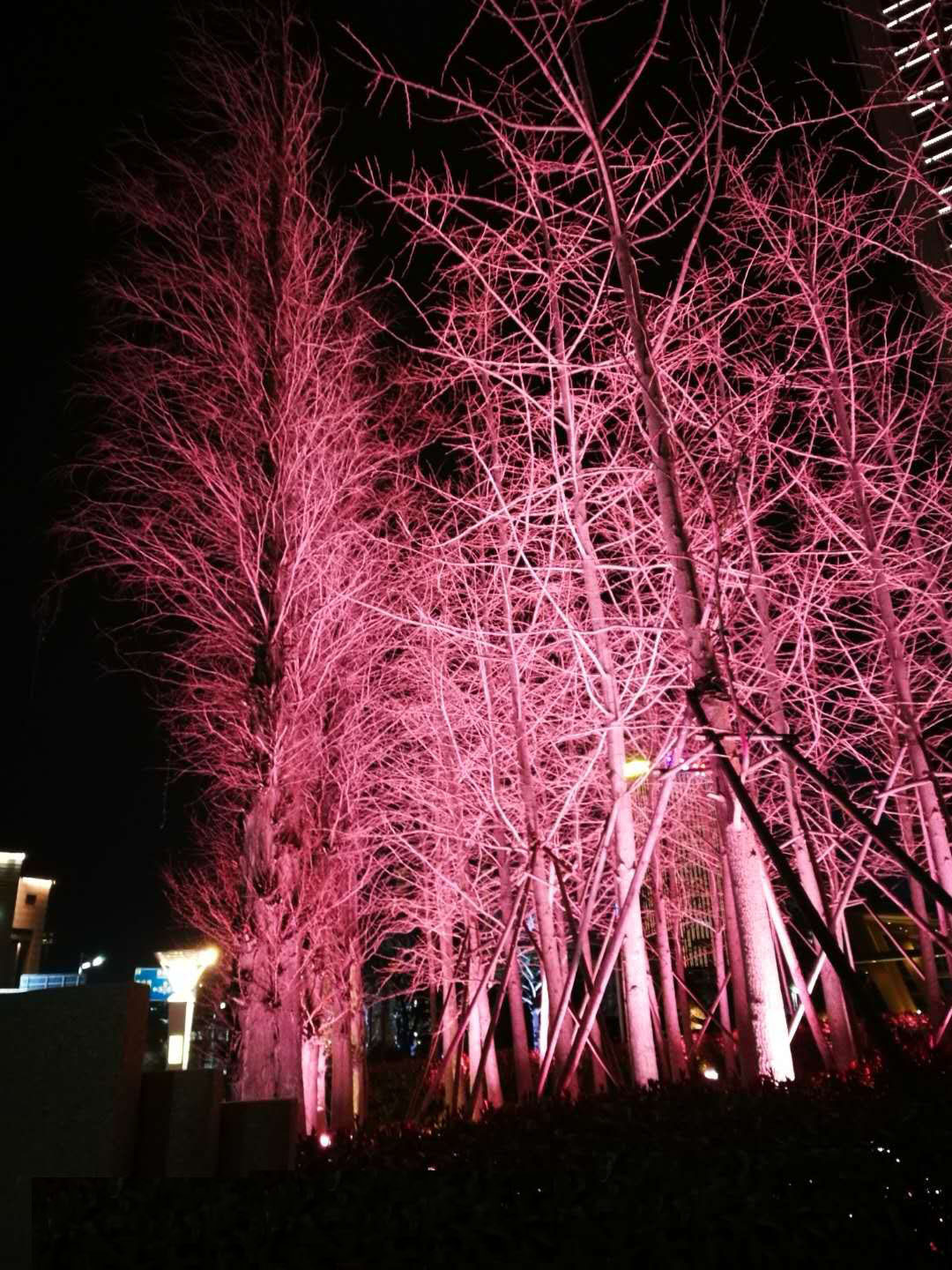 青島卡爾光電LEDRGB七彩投光燈系列
